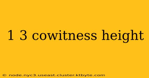 1 3 cowitness height