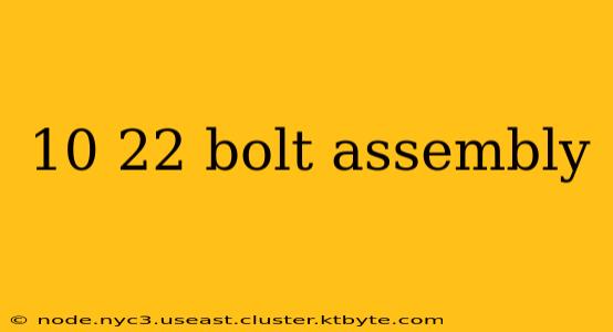 10 22 bolt assembly