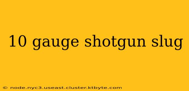 10 gauge shotgun slug