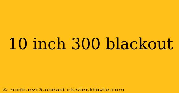 10 inch 300 blackout