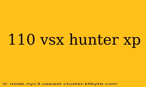 110 vsx hunter xp