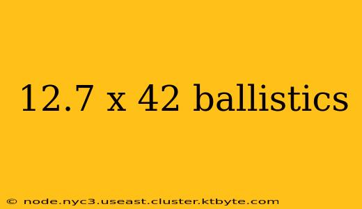 12.7 x 42 ballistics