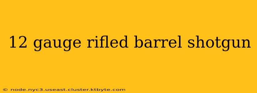 12 gauge rifled barrel shotgun