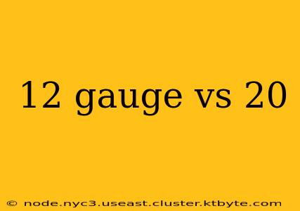 12 gauge vs 20