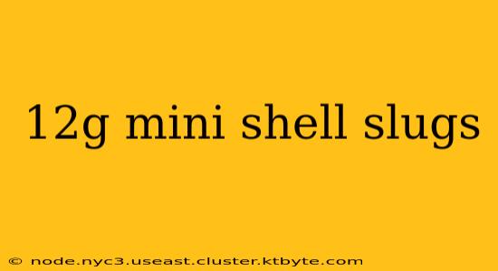 12g mini shell slugs