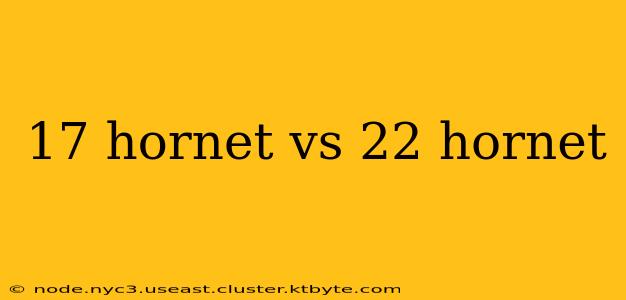 17 hornet vs 22 hornet