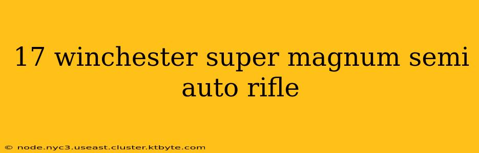 17 winchester super magnum semi auto rifle