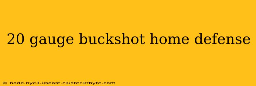 20 gauge buckshot home defense