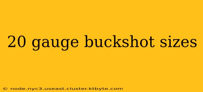 20 gauge buckshot sizes