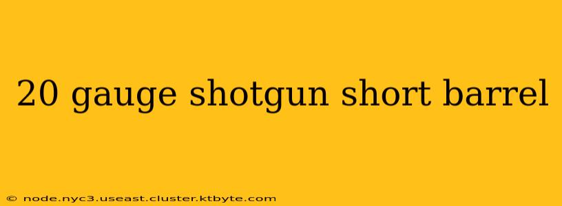 20 gauge shotgun short barrel