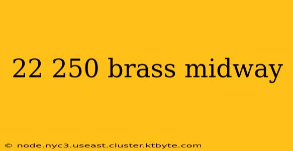 22 250 brass midway