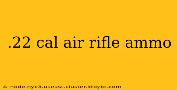 .22 cal air rifle ammo