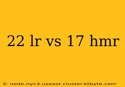 22 lr vs 17 hmr