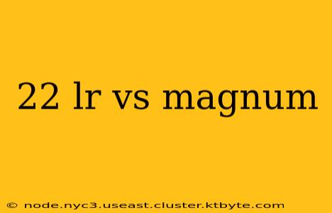 22 lr vs magnum