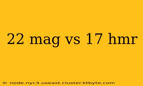 22 mag vs 17 hmr