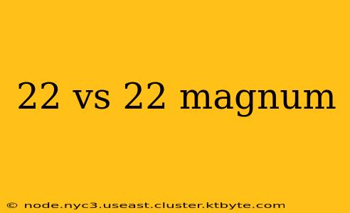 22 vs 22 magnum