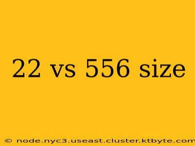 22 vs 556 size