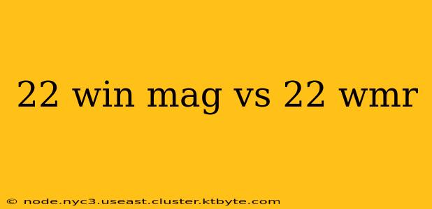 22 win mag vs 22 wmr