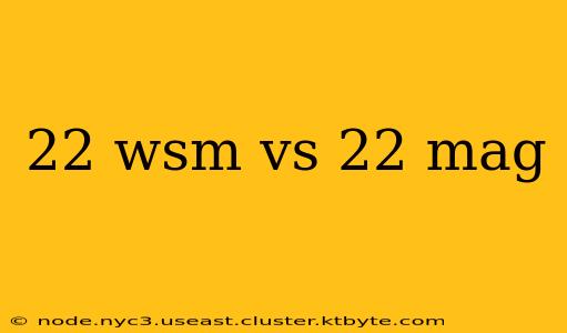 22 wsm vs 22 mag