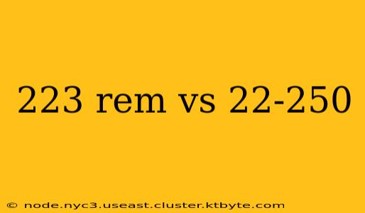 223 rem vs 22-250