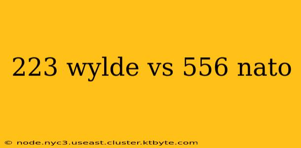 223 wylde vs 556 nato