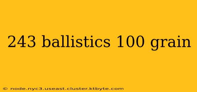 243 ballistics 100 grain