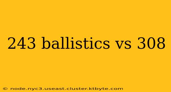 243 ballistics vs 308