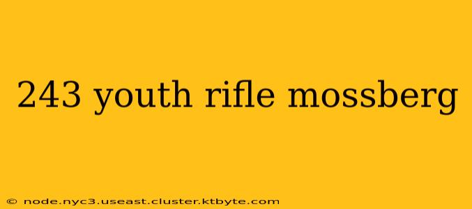 243 youth rifle mossberg