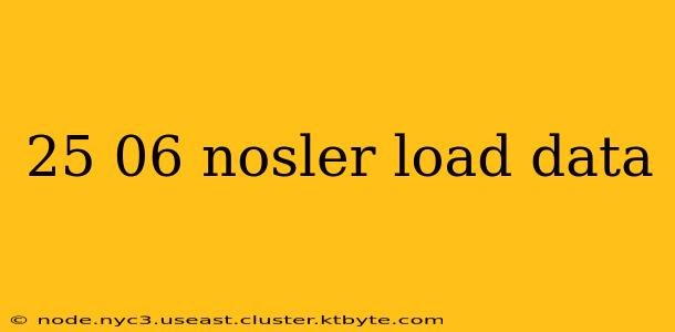 25 06 nosler load data