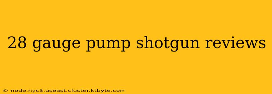 28 gauge pump shotgun reviews