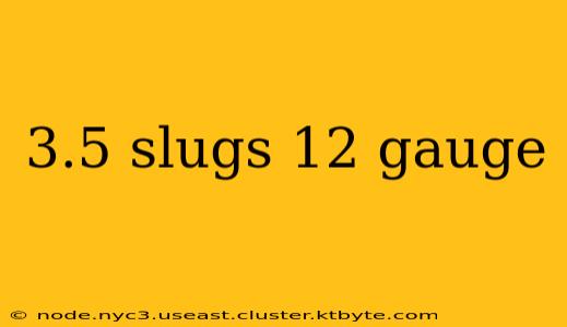 3.5 slugs 12 gauge