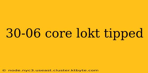 30-06 core lokt tipped