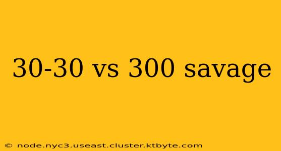 30-30 vs 300 savage