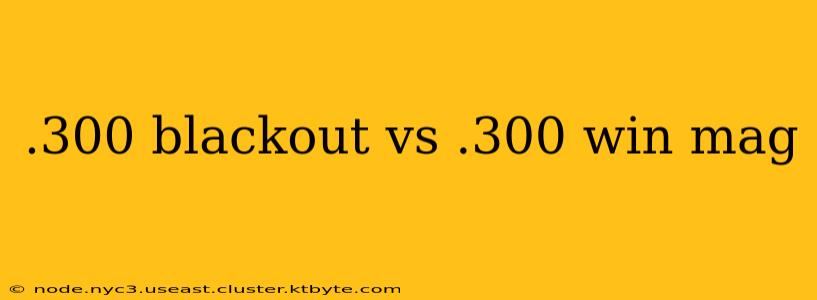 .300 blackout vs .300 win mag