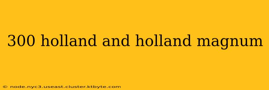 300 holland and holland magnum