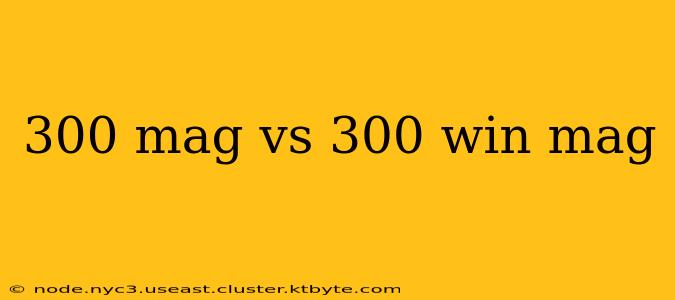 300 mag vs 300 win mag