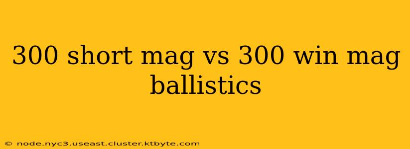 300 short mag vs 300 win mag ballistics