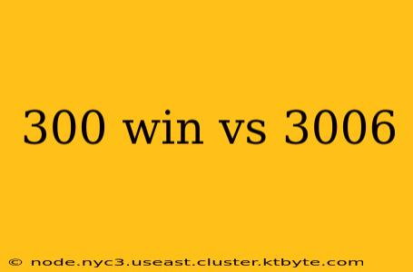 300 win vs 3006