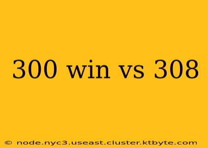 300 win vs 308