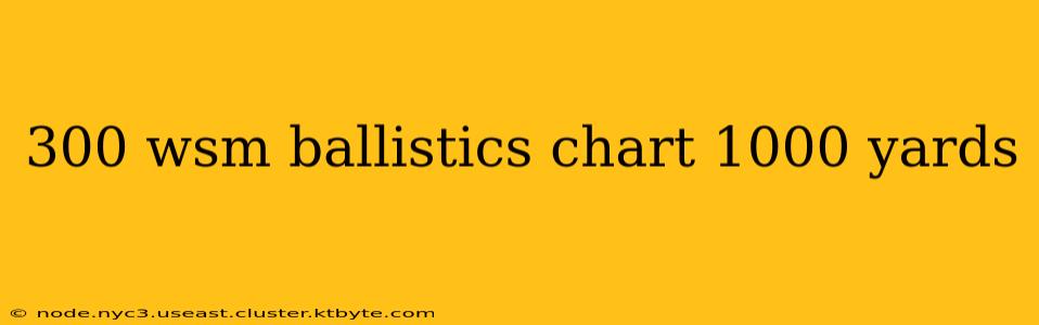 300 wsm ballistics chart 1000 yards