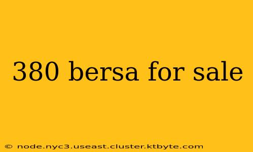 380 bersa for sale