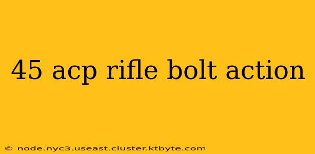 45 acp rifle bolt action