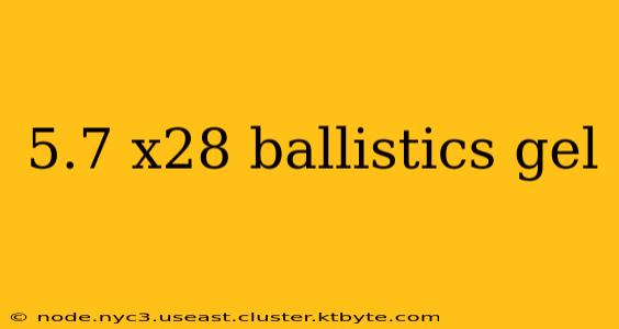 5.7 x28 ballistics gel