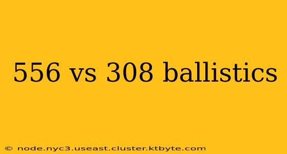 556 vs 308 ballistics