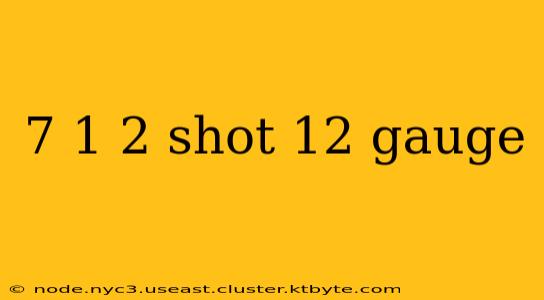 7 1 2 shot 12 gauge