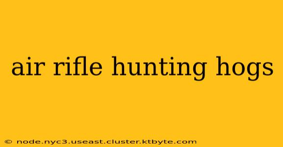 air rifle hunting hogs