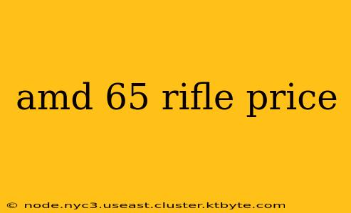 amd 65 rifle price