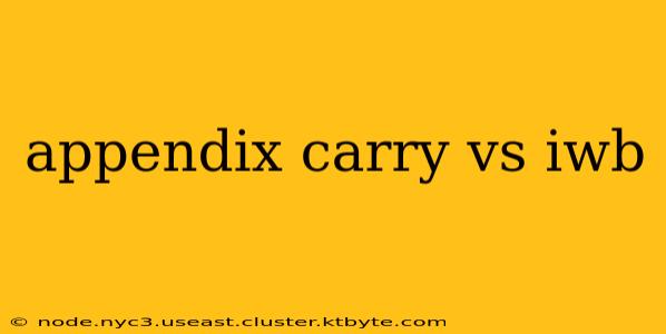 appendix carry vs iwb