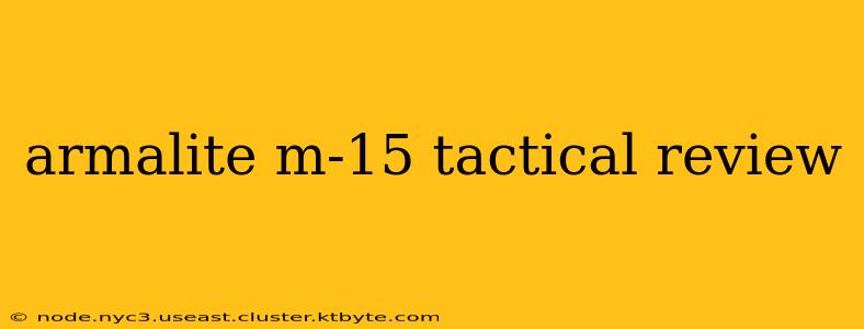 armalite m-15 tactical review