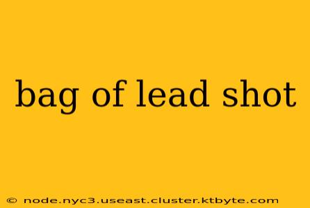 bag of lead shot